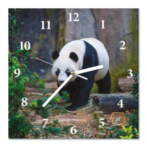 Zegar z bezpiecznego szkła PANDA 30X30