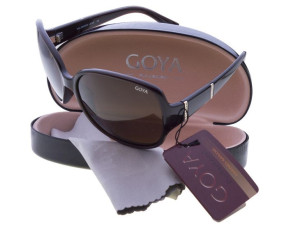 Goya G 195 BR - Brązowe okulary przeciwsłoneczne muchy duże z filtrem polar