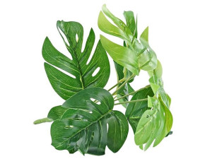 Gałązka Dekoracyjna Liście Monstera Bukiet Liści