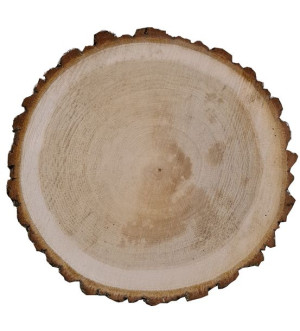 plastry drewna dębowe 25cm