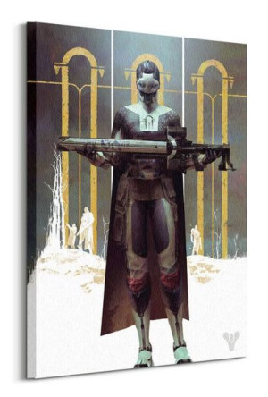 Destiny Black Armory - obraz na płótnie 60x80 cm