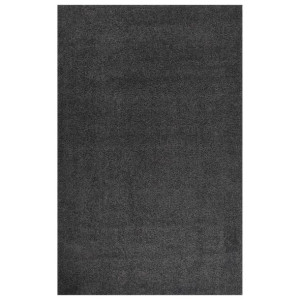 Dywan shaggy z wysokim włosiem, antracytowy, 200x290 cm