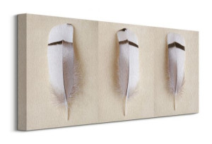 Egyptian Goose Feather Triptych - obraz na płótnie 60x30 cm
