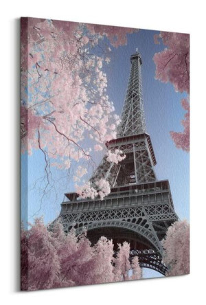 Eiffel Tower Infrared - obraz na płótnie 60x80 cm