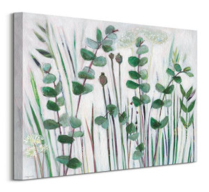 Eucalyptus Stems - obraz na płótnie 50x40 cm