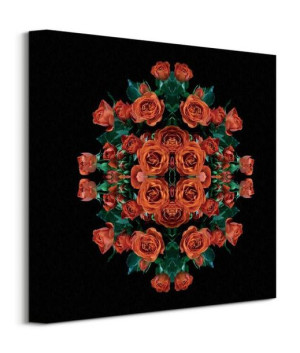 Explosion of Orange Roses - obraz na płótnie 40x40 cm