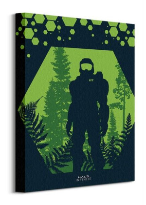 Halo Infinite Hex - obraz na płótnie 40x50 cm