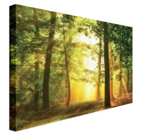 Hidden In Plain Sight - obraz na płótnie 80x60 cm