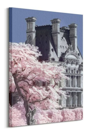 Jardin de Tuilieres Infrared - obraz na płótnie 60x80 cm