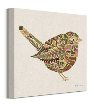 Little Wren - obraz na płótnie 30x30 cm
