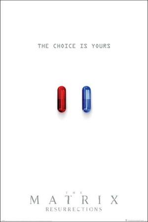 The Matrix Resurrections The Choice is Yours - plakat 61x91,5 cm