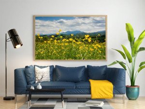 Łąka u podnóża Pirenejów - plakat 40x30 cm