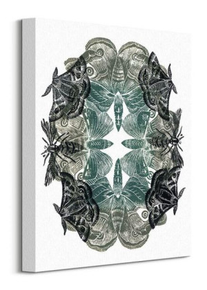 Moths - obraz na płótnie 30x40 cm