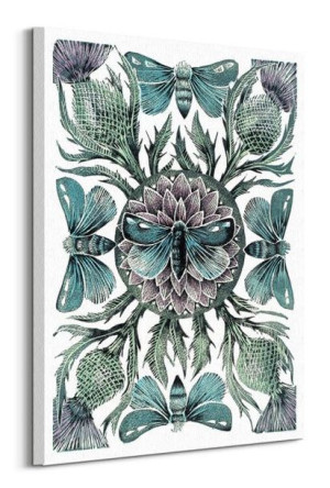 Moths Thistles - obraz na płótnie 60x80 cm