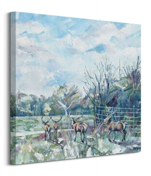Park Stags - obraz na płótnie 60x60 cm