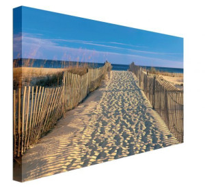 Pathway to the Beach - obraz na płótnie 80x60 cm