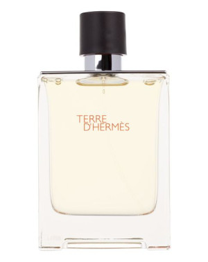 Hermes Terre d´Hermes Woda toaletowa 100ml