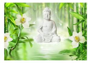 Fototapeta - Budda i natura - 250X175