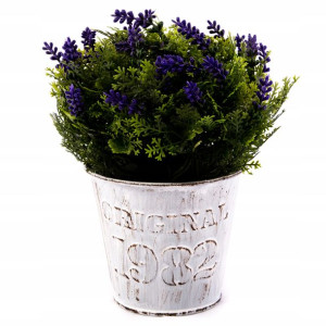 Kwiatek W Doniczce Ozdobna Roślina 18cm