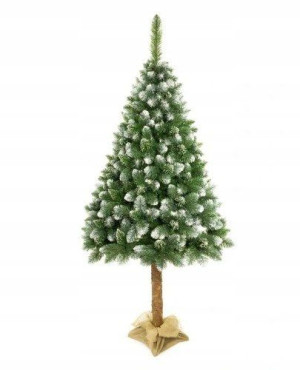 Choinka Sosna Diamentowa Na Pniu 220cm