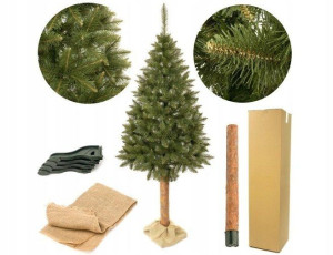 Choinka Świerk Naturalny Na Pniu 180 Cm