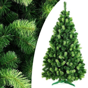 Decoking Choinkajodła Daria 270