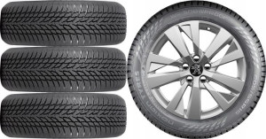 Koła Zima Peugeot 607 Nokian 225/50r17