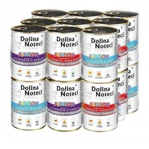 DOLINA NOTECI PREMIUM JUNIOR Mix Smaków 12x400g