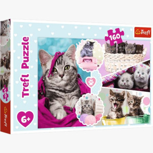 PUZZLE 160 Urocze kotki Trefl 15371