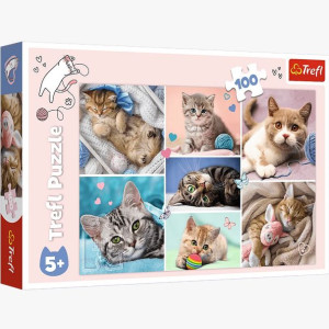PUZZLE 100 W kocim świecie 16420 Trefl