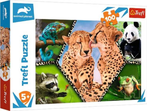 PUZZLE 100 Piękno natury Discovery 16424 Trefl