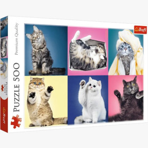 PUZZLE 500 Kociaki 37377 Trefl