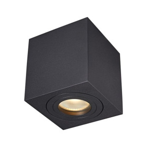 Quardip IP44 lampa sufitowa 1-punktowa czarna ACGU10-161 Zuma line