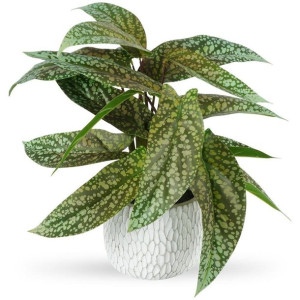 Sztuczna roślina w doniczce dekoracyjna syngonium 47 cm