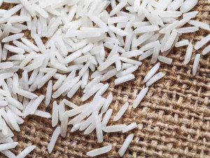 Ryż Basmati Biały [hurt] 25kg [cena]