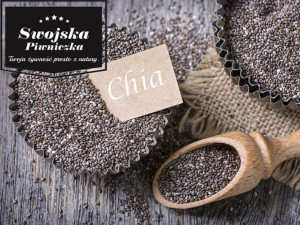 Nasiona Chia 25 Kg Szałwia Hiszpańska [hurt] [cena]