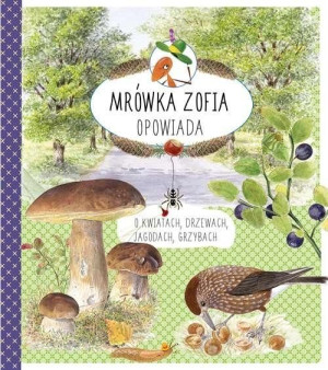 Mrówka Zofia opowiada o kwiatach drzewach jagodach grzybach