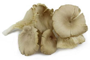Boczniaki grzyby świeże Ekologiczne ok. 200 g tacka - Bio Planet