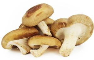 Shiitake grzyby świeże Ekologiczne ok. 200 g tacka - Bio Planet