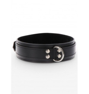 Taboom Heavy D-Ring Collar Black