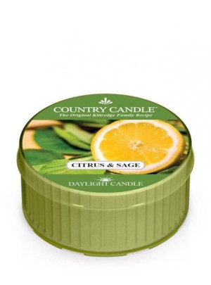 Daylight świeczka zapachowa Citrus And Sage 42g