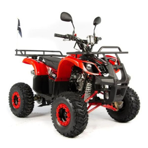 Quad 125cc Dla Dzieci Xtr Toronto Basic Koła 7 Cali
