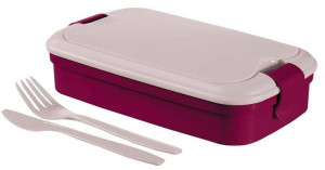 Lunchbox Ze Sztućcami Pojemnik Obiadowy Curver - F