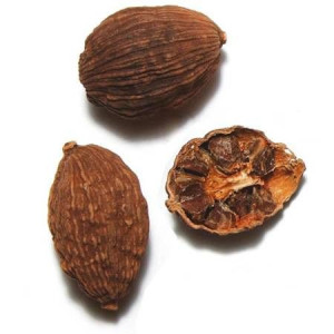 Kardamon cały czarny 100g SAVIVA