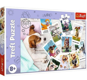Puzzle Trefl 300 23003 Zdjęcia 30031