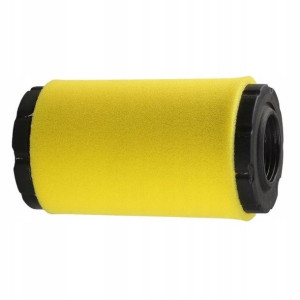 Filtr Powietrza Briggs & Stratton 793569