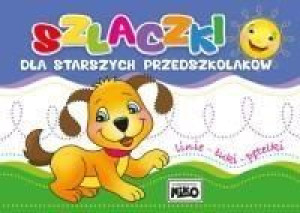 Szlaczki dla starszych przedszkolaków praca zbiorowa