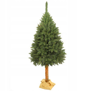 KADAX Świerk naturalny na pniu 180cm K5546
