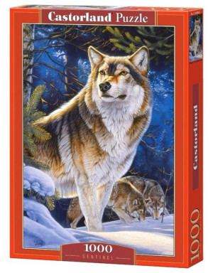 Puzzle 1000 Sentinel CASTOR
