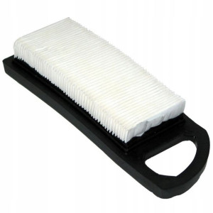 Filtr Powietrza Briggs&stratton Intek Avs